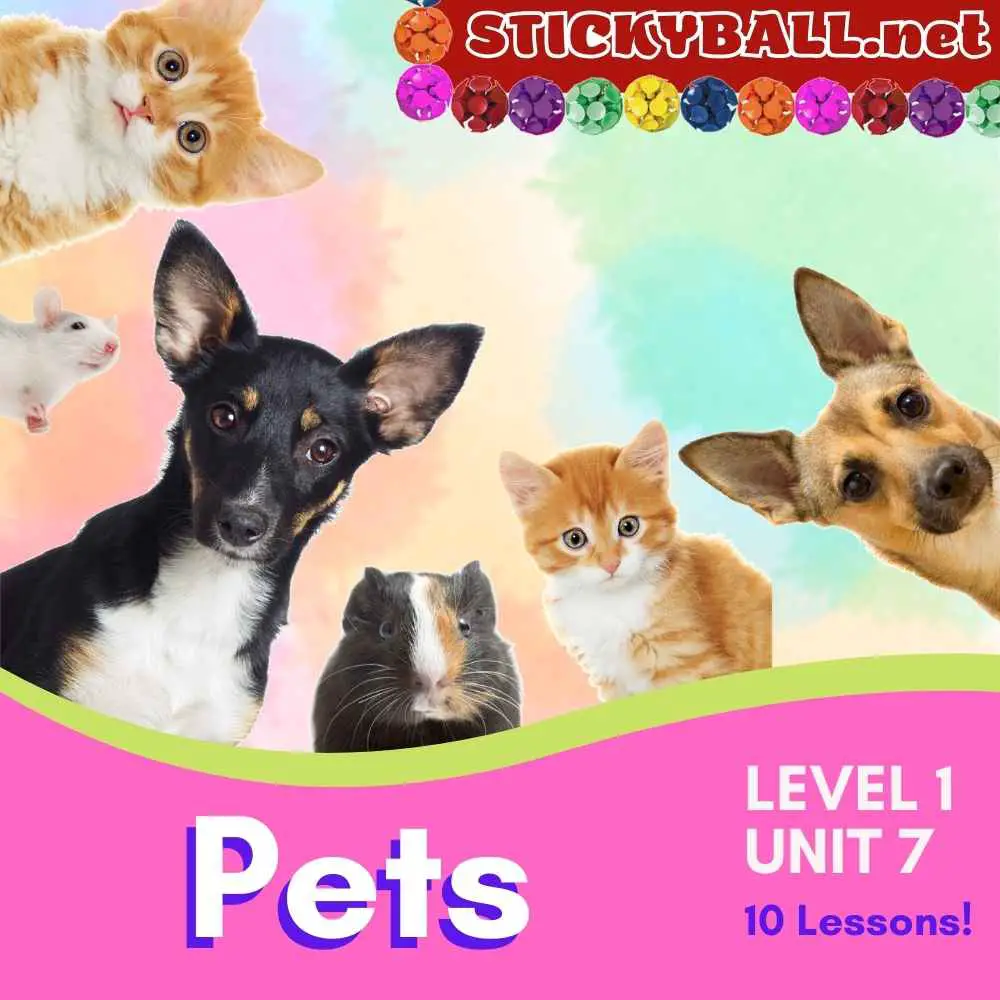 Online ESL Lessons: Fun ESL lessons for online teaching (computer/phone/tablet)