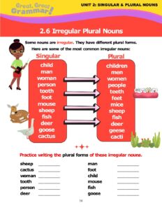 Read more about the article IRREGULAR PLURAL NOUNS
