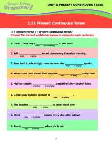 Read more about the article PRESENT CONTINUOUS TENSE (10): Present Tense vs. Present Continuous Tense #3